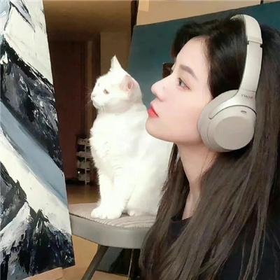 爱乱伴侣